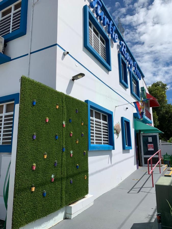 海龟湾住宿加早餐旅馆 拉帕尔格拉 外观 照片